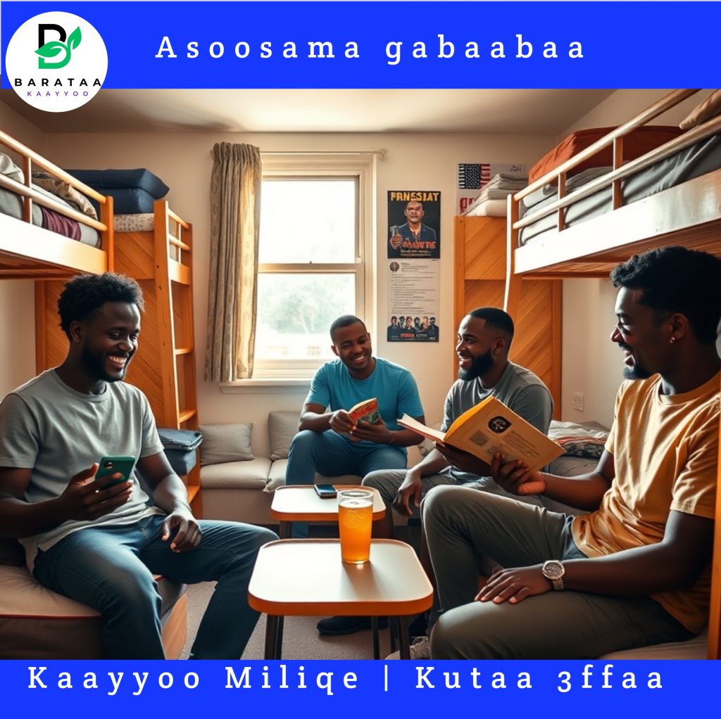 Kaayyoo Miliqe kutaa 3ffaa