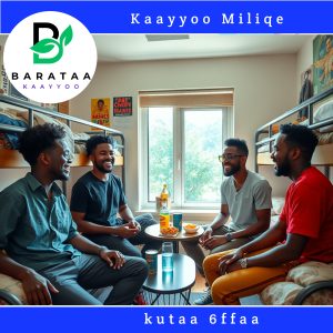 Kaayyoo Miliqee kutaa 6ffaa